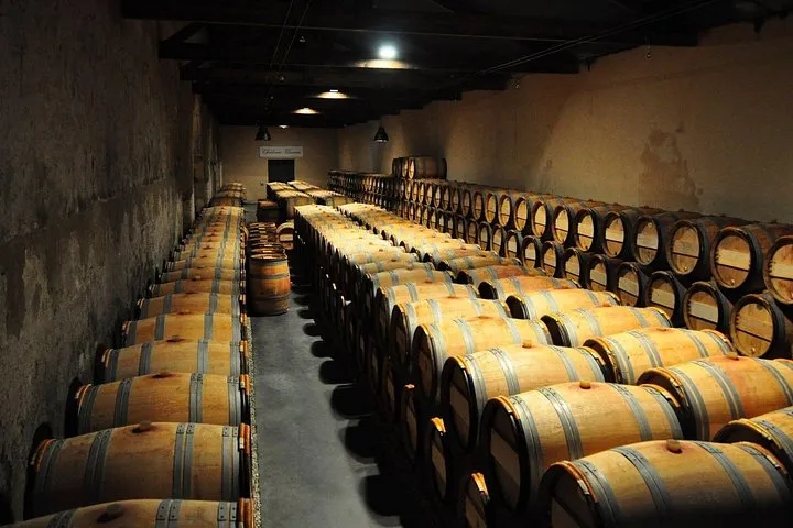 Médoc château on a full-day Bordeaux wine day tour, a left bank wine day tour from Bordeaux, France