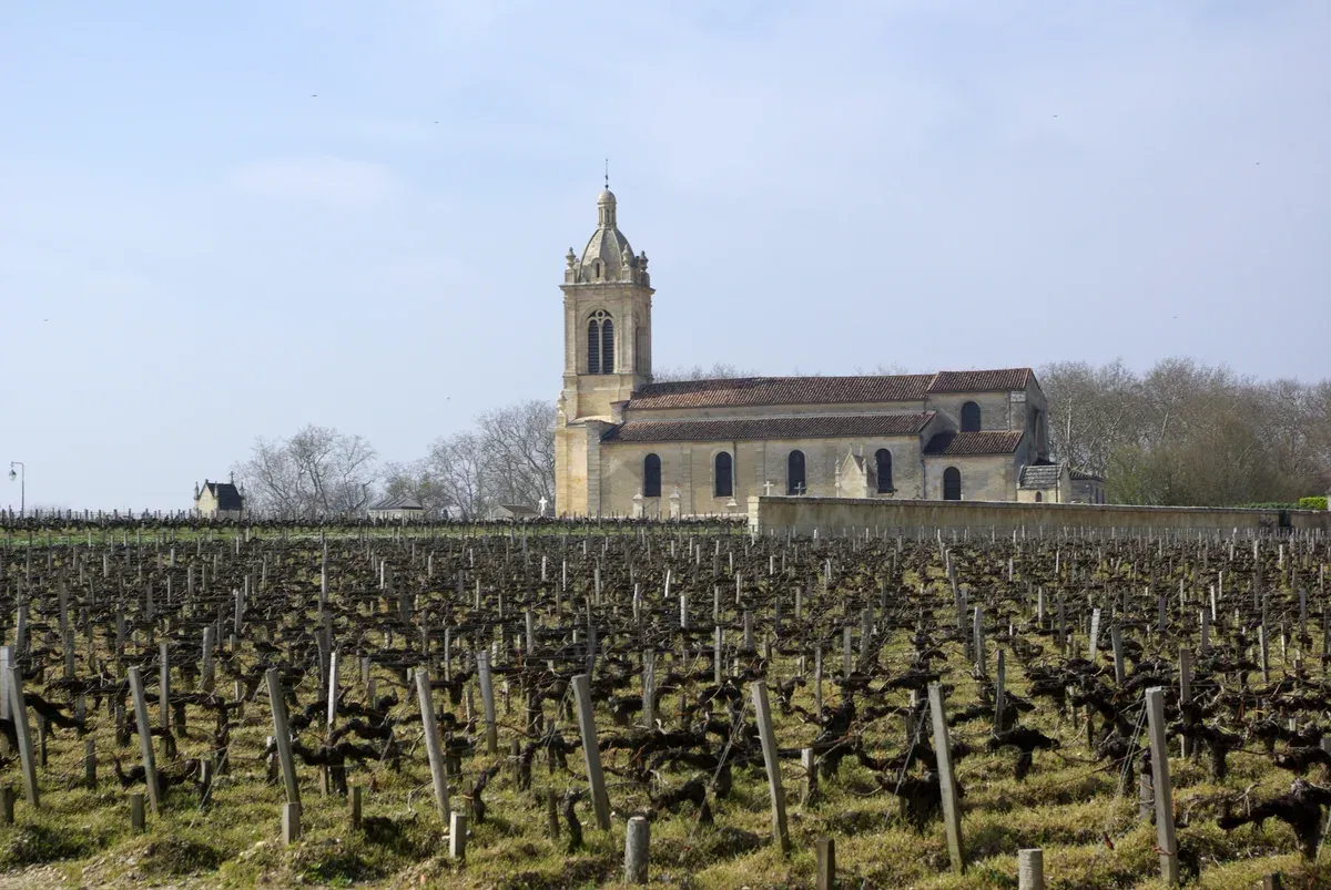 The church of Margaux above bare winter vines in the Médoc, seen on a Bordeaux wine day tour