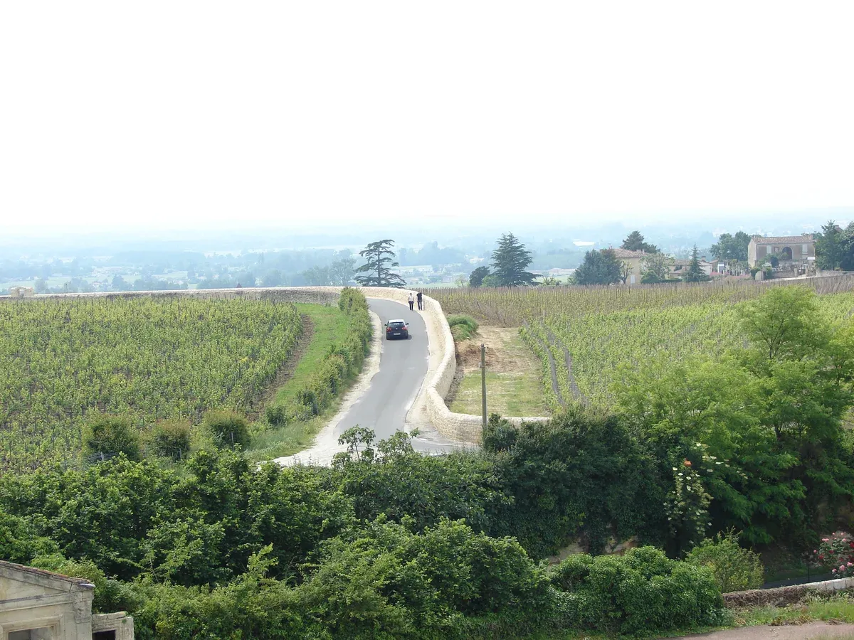 A road winding between vineyards below Saint-Émilion, seen on a Bordeaux wine day tour