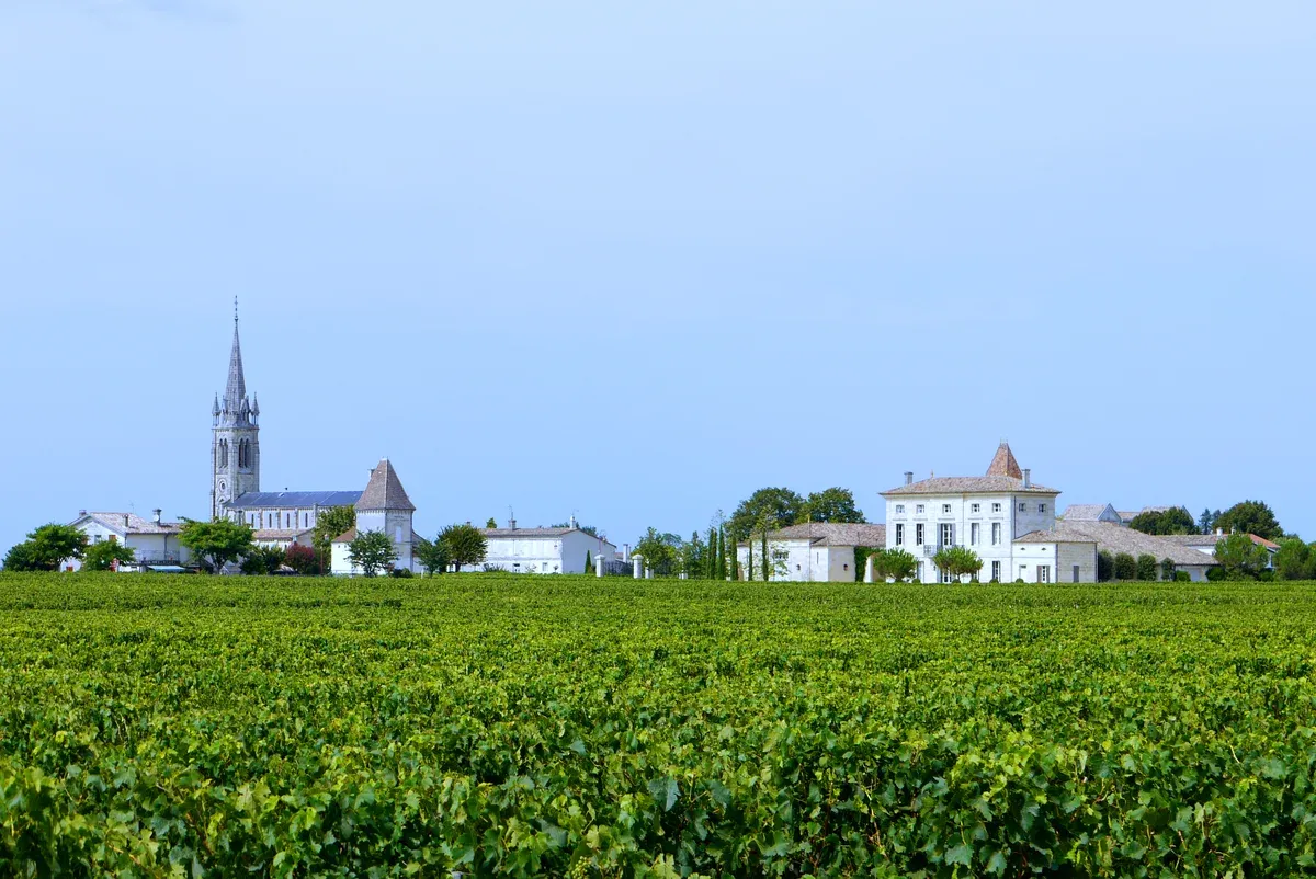 Vineyards of Pomerol with the village church spire behind, seen on a Bordeaux wine day tour